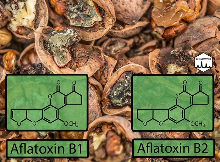 Aflatoxins: Poisonous and Carcinogen Compounds (Part 2)
