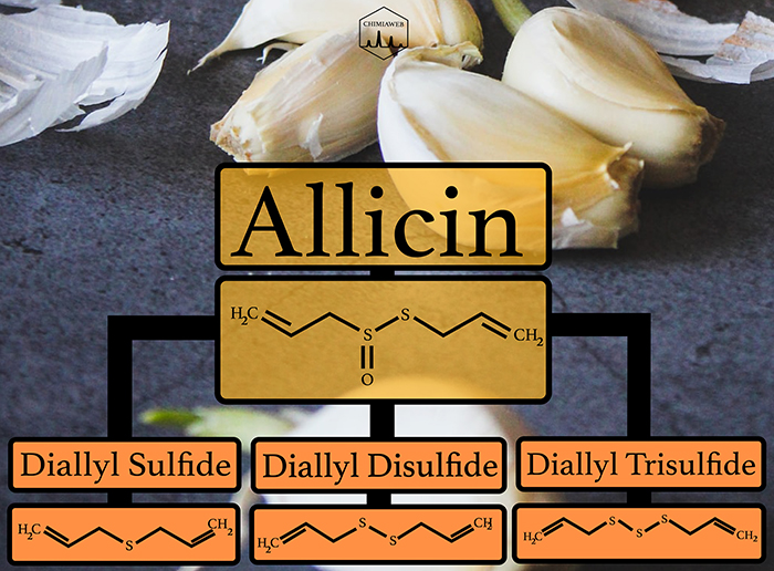 What Chemicals Are Responsible for Pungent Odor of Garlic?