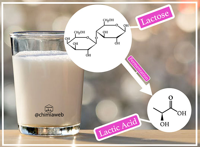What chemical reaction makes the spoiled milk sour?